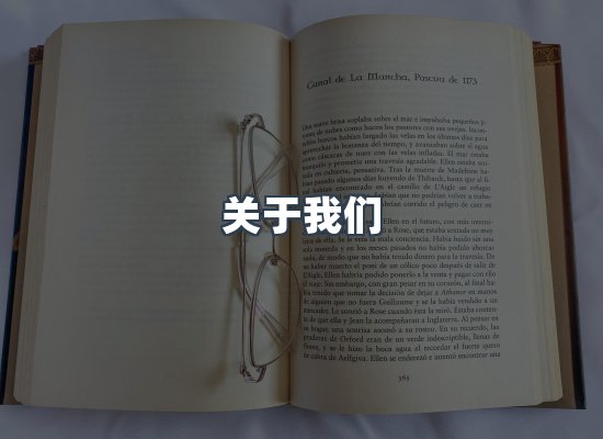 专业团队